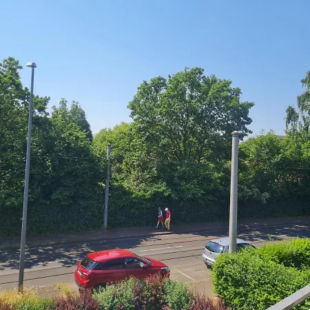 Eichhoernchen Daire Krefeld