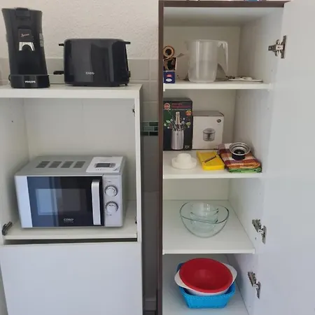 Eichhoernchen * Krefeld