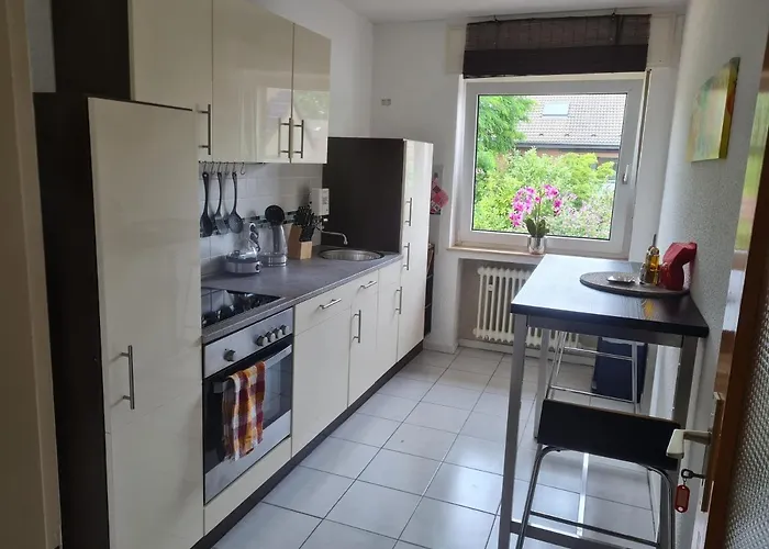 Eichhoernchen Krefeld