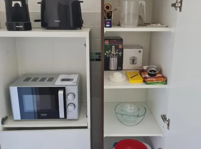 Eichhoernchen * Krefeld